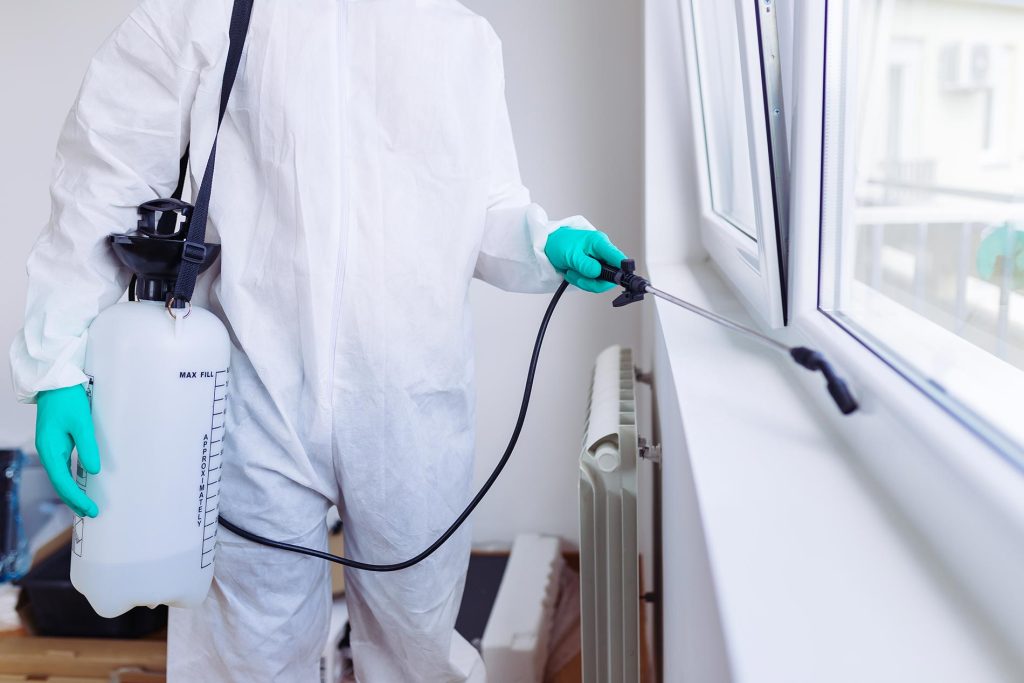 Professional Pest Control Services: Providing Expert Solutions for Pest Management